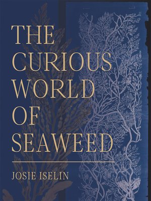 cover image of The Curious World of Seaweed